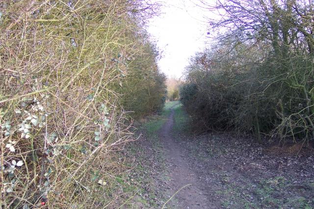 Feb2006_008.%281%29.jpg