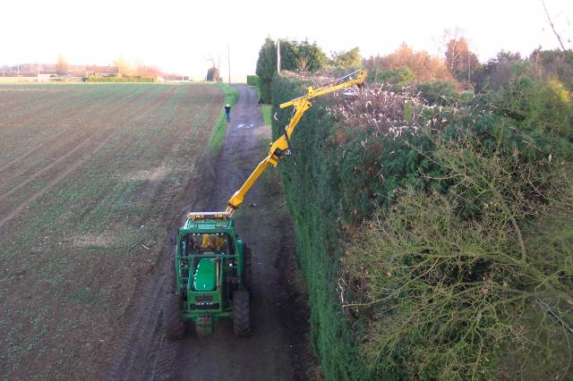 hedgecutting_007.jpg