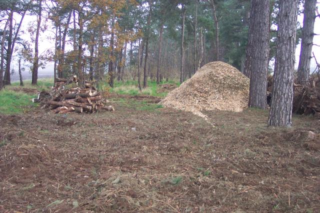 woodchipping_009.jpg